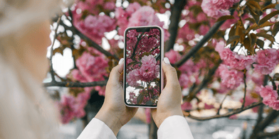 iPhone Kamerasında Çiçek Nasıl Kapatılır?