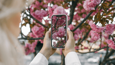 iPhone Kamerasında Çiçek Nasıl Kapatılır?