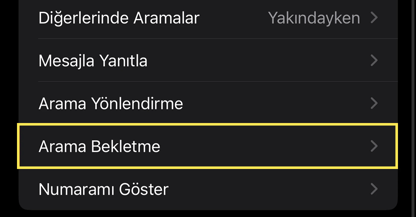 iPhone’da Arama Bekletme Özelliği Nedir?
