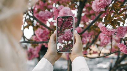 iPhone Kamerasında Çiçek Nasıl Kapatılır?